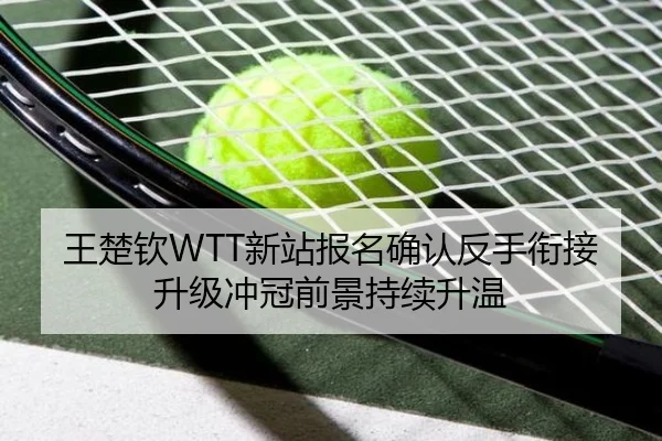王楚钦WTT新站报名确认反手衔接升级冲冠前景持续升温